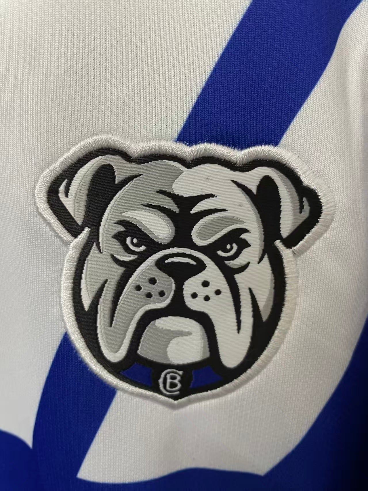 Canterbury Bankstown Bulldogs 2026 Home Replica Jersey