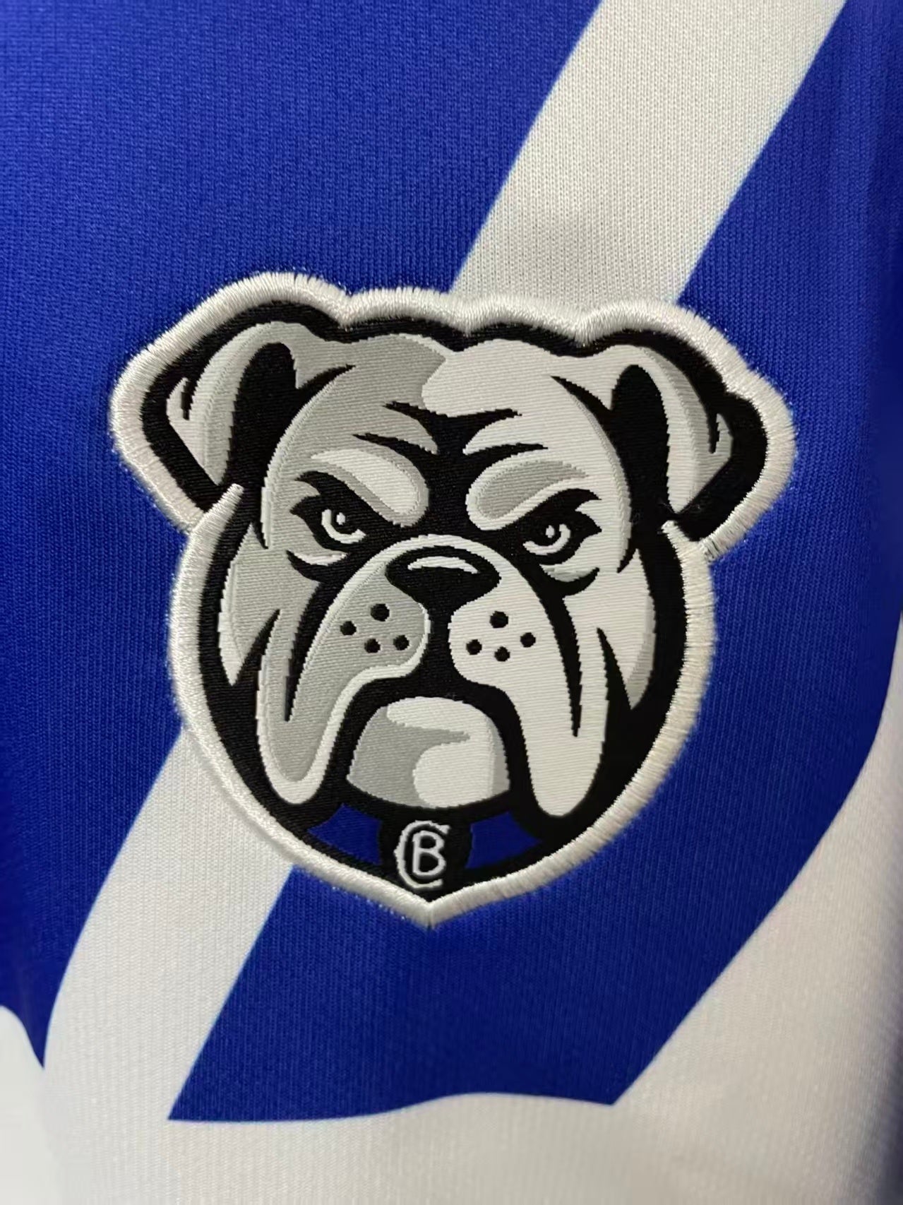 Canterbury Bankstown Bulldogs 2026 Away Replica Jersey